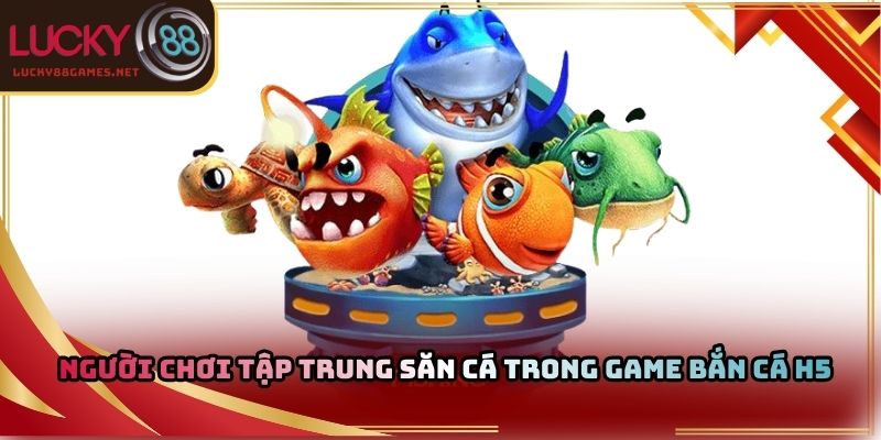 Người chơi tập trung săn cá trong game bắn cá H5