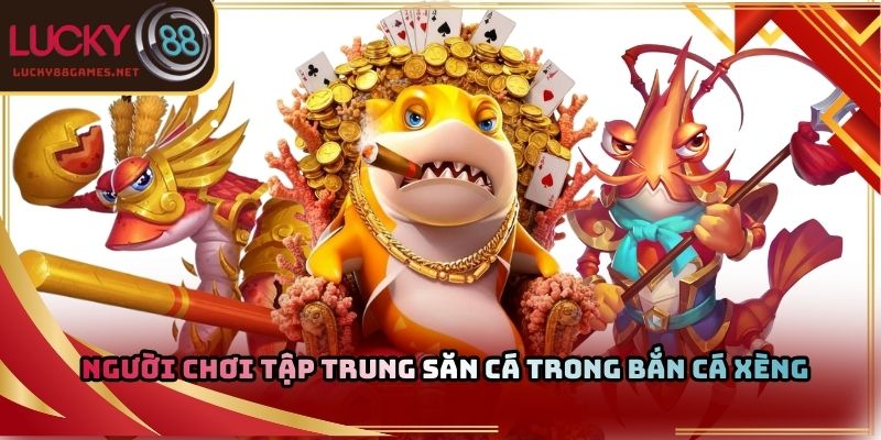 Người chơi tập trung săn cá trong bắn cá xèng