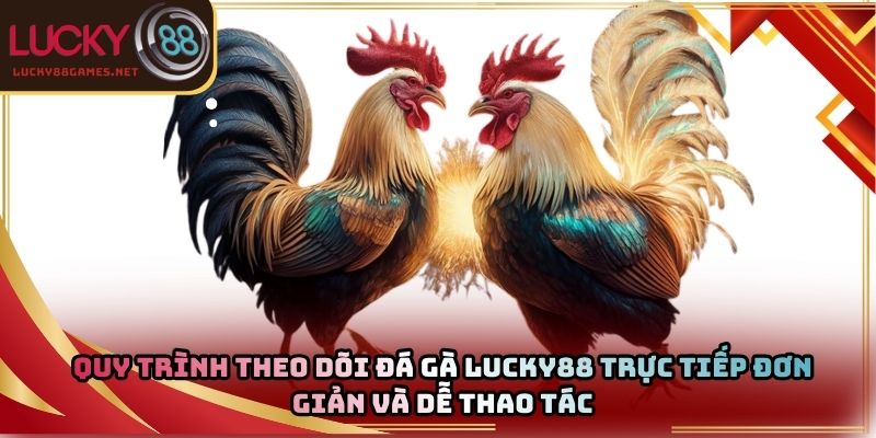 Quy trình theo dõi đá gà Lucky88 trực tiếp đơn giản và dễ thao tác