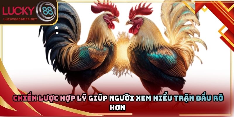 Chiến lược hợp lý giúp người xem hiểu trận đấu rõ hơn 