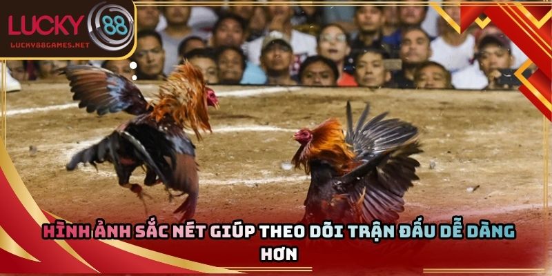 Hình ảnh sắc nét giúp theo dõi trận đấu dễ dàng hơn