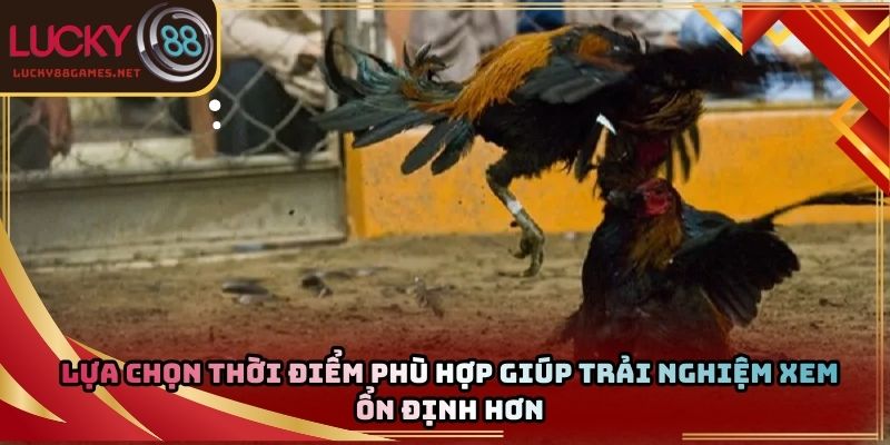 Lựa chọn thời điểm phù hợp giúp trải nghiệm xem ổn định hơn