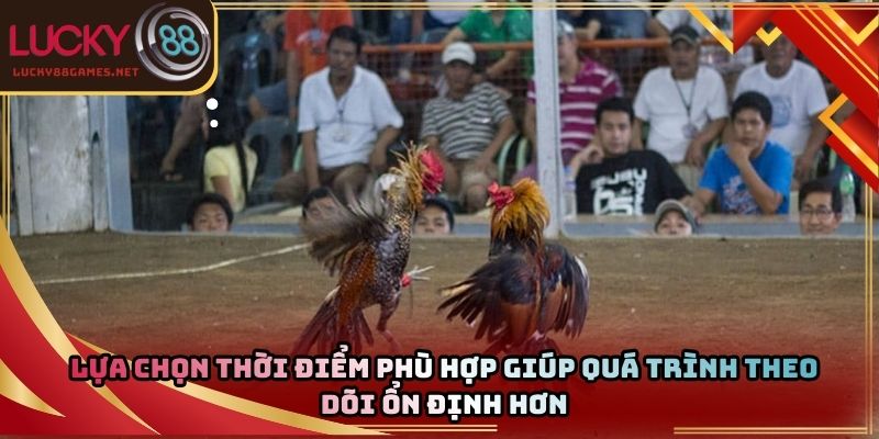 Lựa chọn thời điểm phù hợp giúp quá trình theo dõi ổn định hơn
