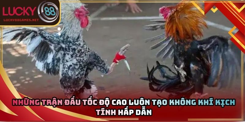 Những trận đấu tốc độ cao luôn tạo không khí kịch tính hấp dẫn