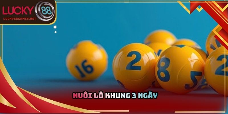 Nuôi lô khung 3 ngày