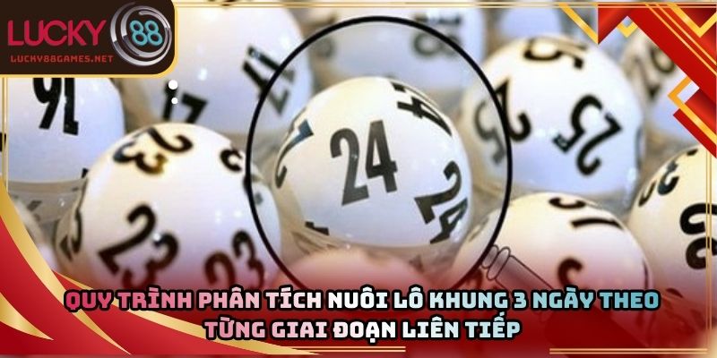 Quy trình phân tích nuôi lô khung 3 ngày theo từng giai đoạn liên tiếp