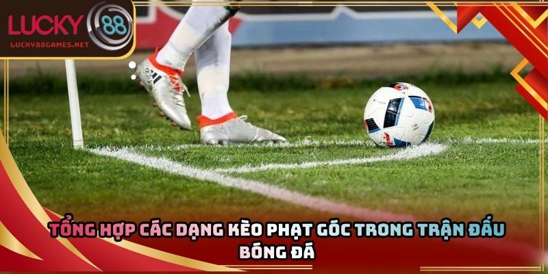 Tổng hợp các dạng kèo phạt góc trong trận đấu bóng đá