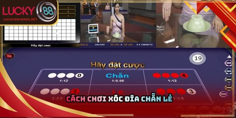 Cách chơi xóc đĩa chẵn lẻ